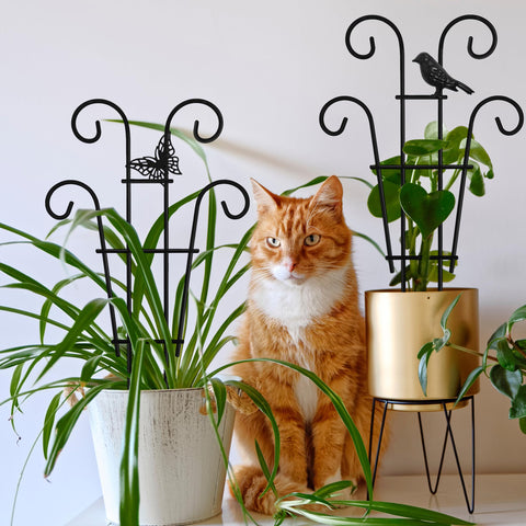 Xeeol Pothos Climber Trellis guides vines upward gracefully.