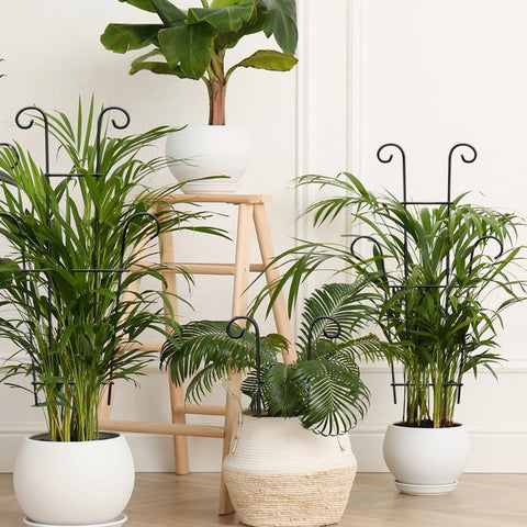 Xeeol pothos climbing trellis 23in keeps vines neatly organized.