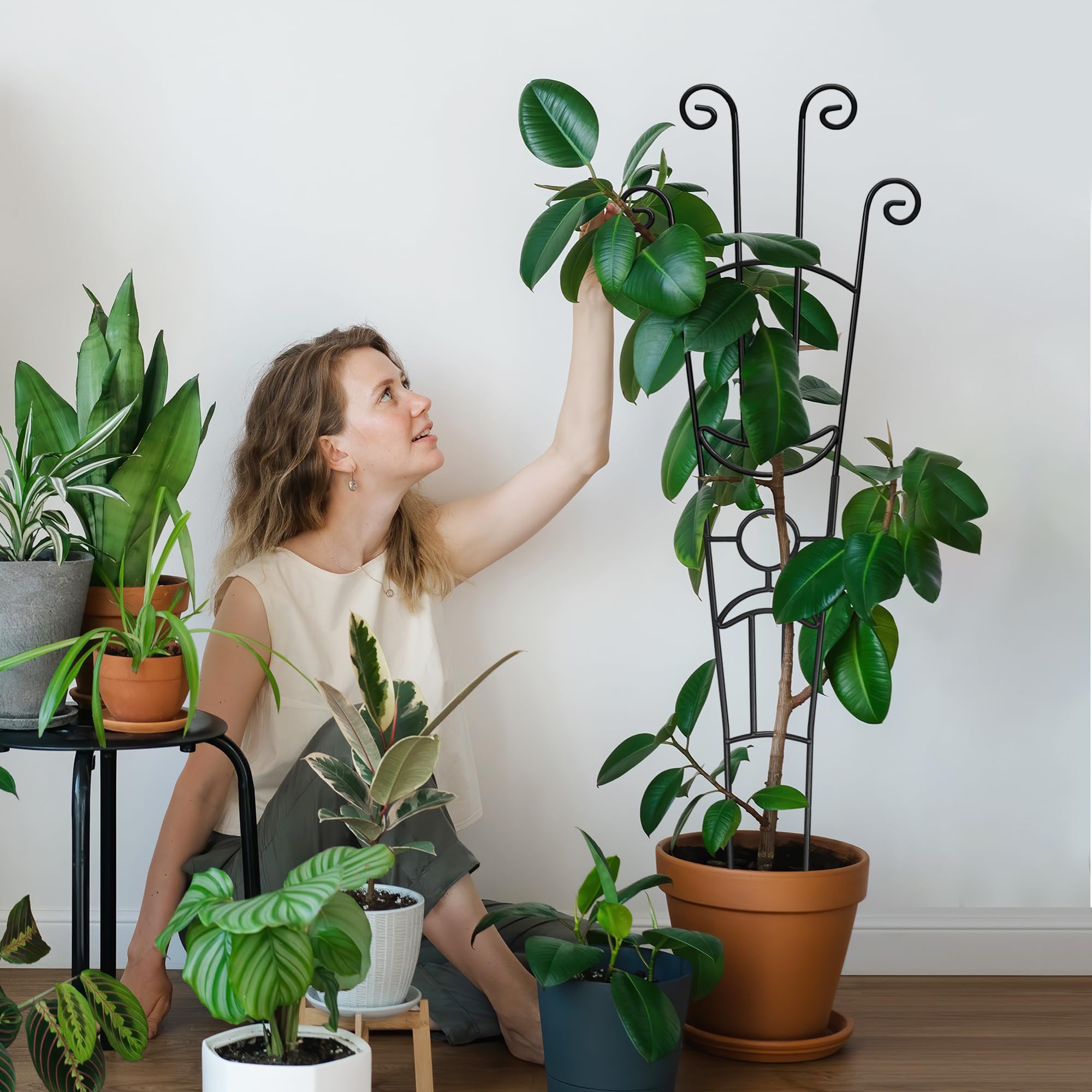 Xeeol pot plant support enhances training for ivy and pothos.