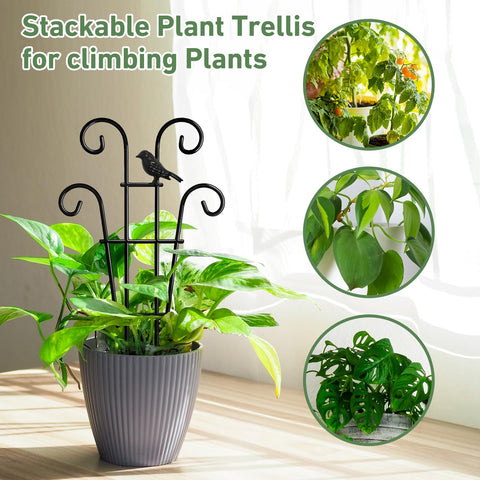 Xeeol Potted Plant Trellis in gift-pack form for plant lovers.