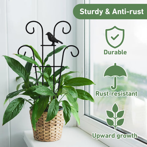 Xeeol Small Metal Trellis with welded joints for stability.