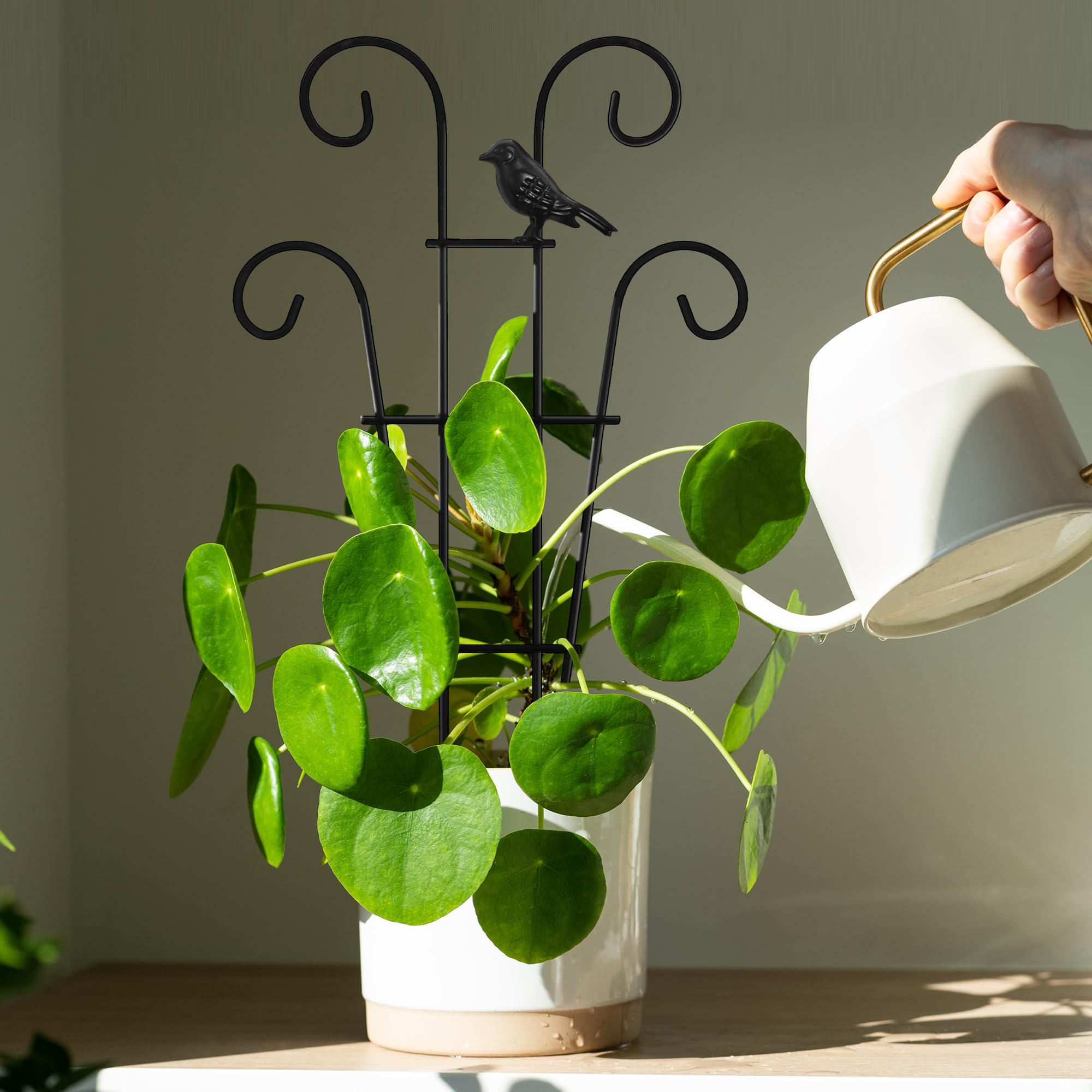 Xeeol Two-Pack Indoor Plant Trellis saves space and care effort.