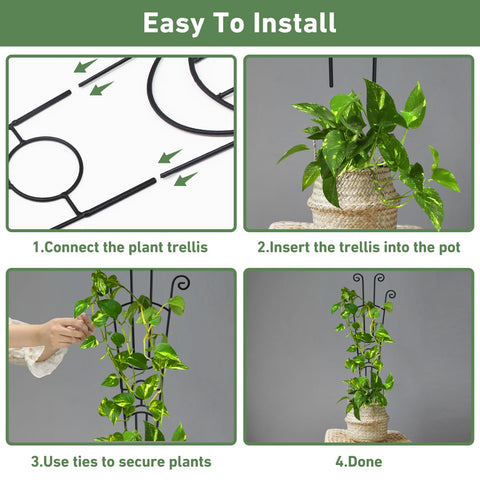 Xeeol vertical-growth design maximizes sunlight exposure for healthier foliage.