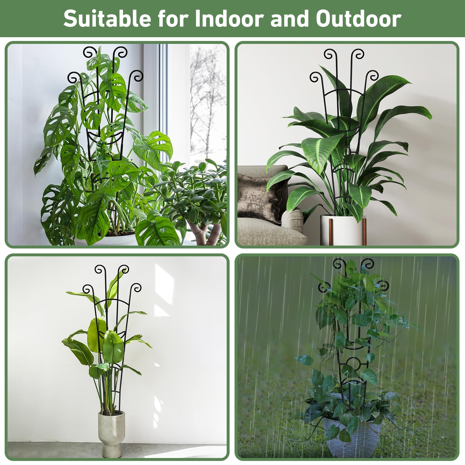 Xeeol waterproof outdoor-use trellis suits year-round climbers.