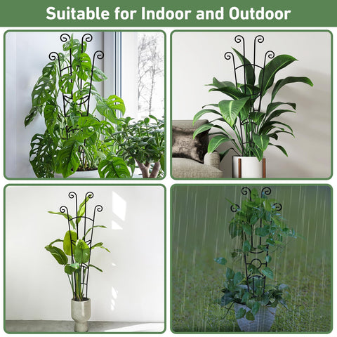 Xeeol waterproof outdoor-use trellis suits year-round climbers.