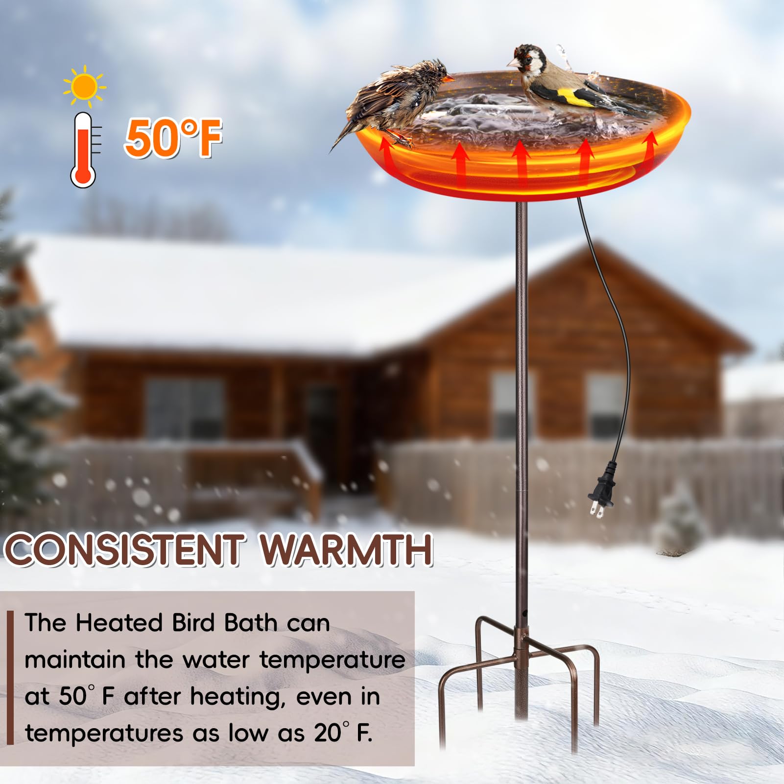 Xensdenban shallow bowl design protects small birds from slipping