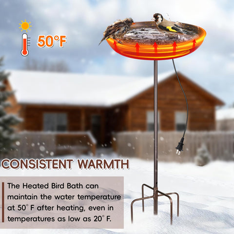 Xensdenban shallow bowl design protects small birds from slipping