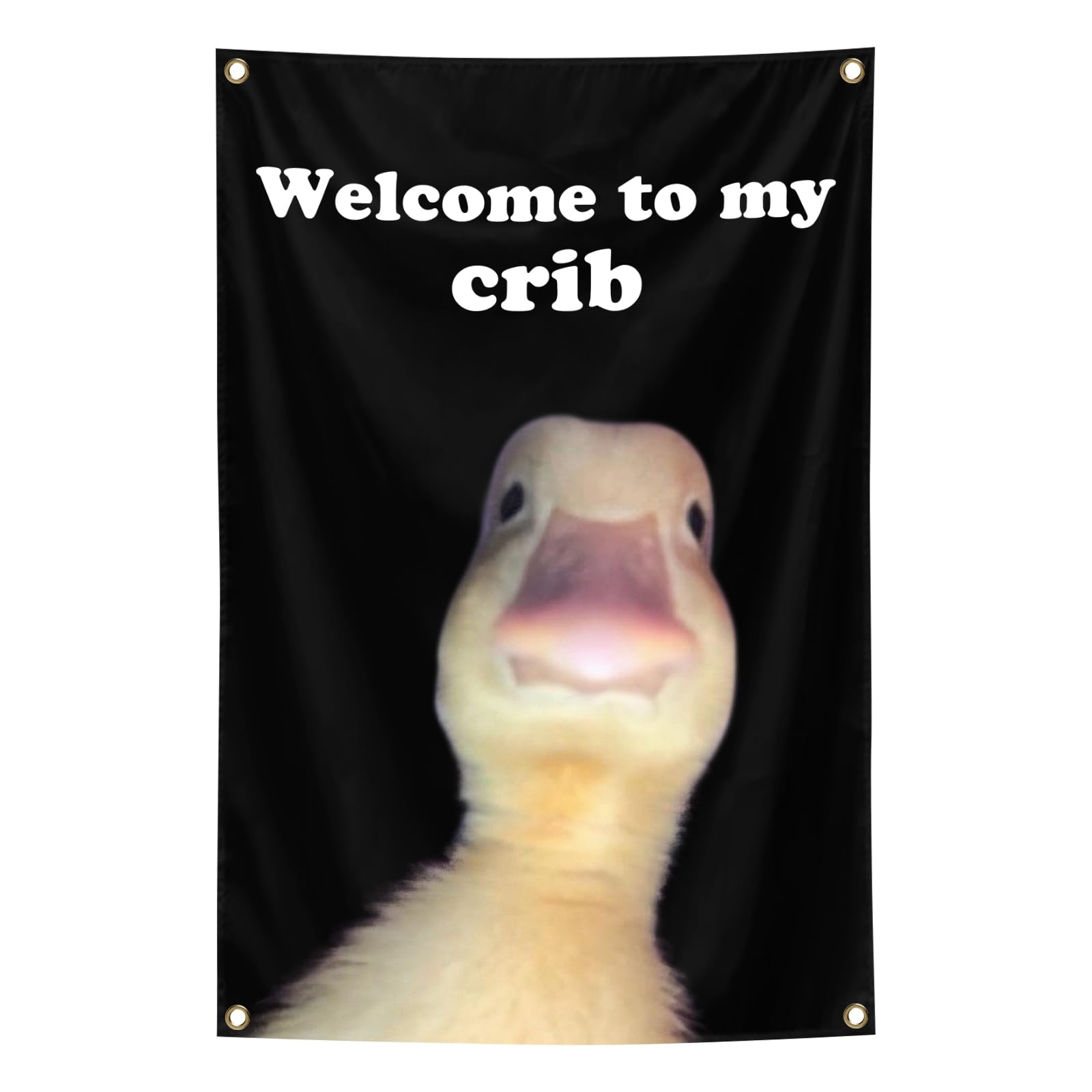 XEODE Welcome to My Crib Flag boosts dorm decor with a durable wall banner.