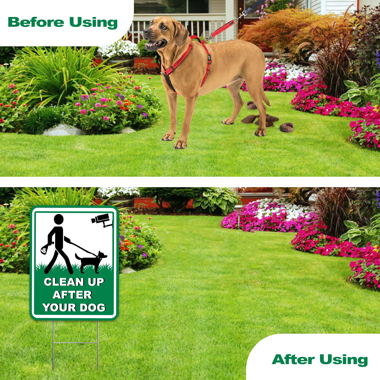 XFXHEYY H-shaped iron frame supports quick on-yard installation.