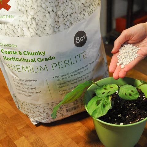 xGarden perlite improves soil porosity and drainage in potting mixes for healthy roots.