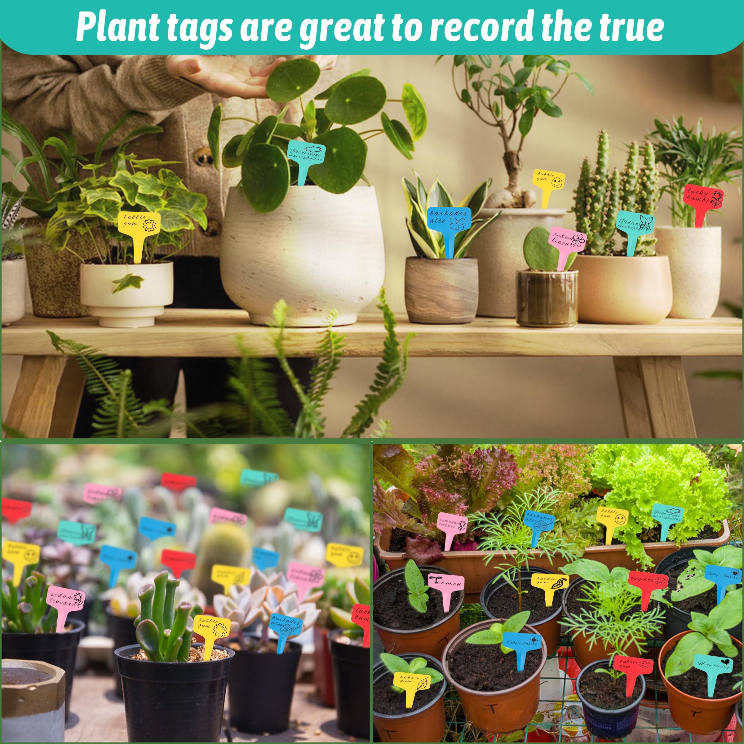 Xgunion double-sided writing surface lets you record more plant details.