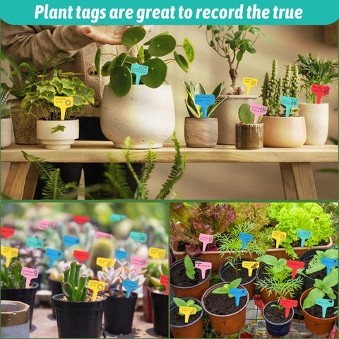 Xgunion double-sided writing surface lets you record more plant details.
