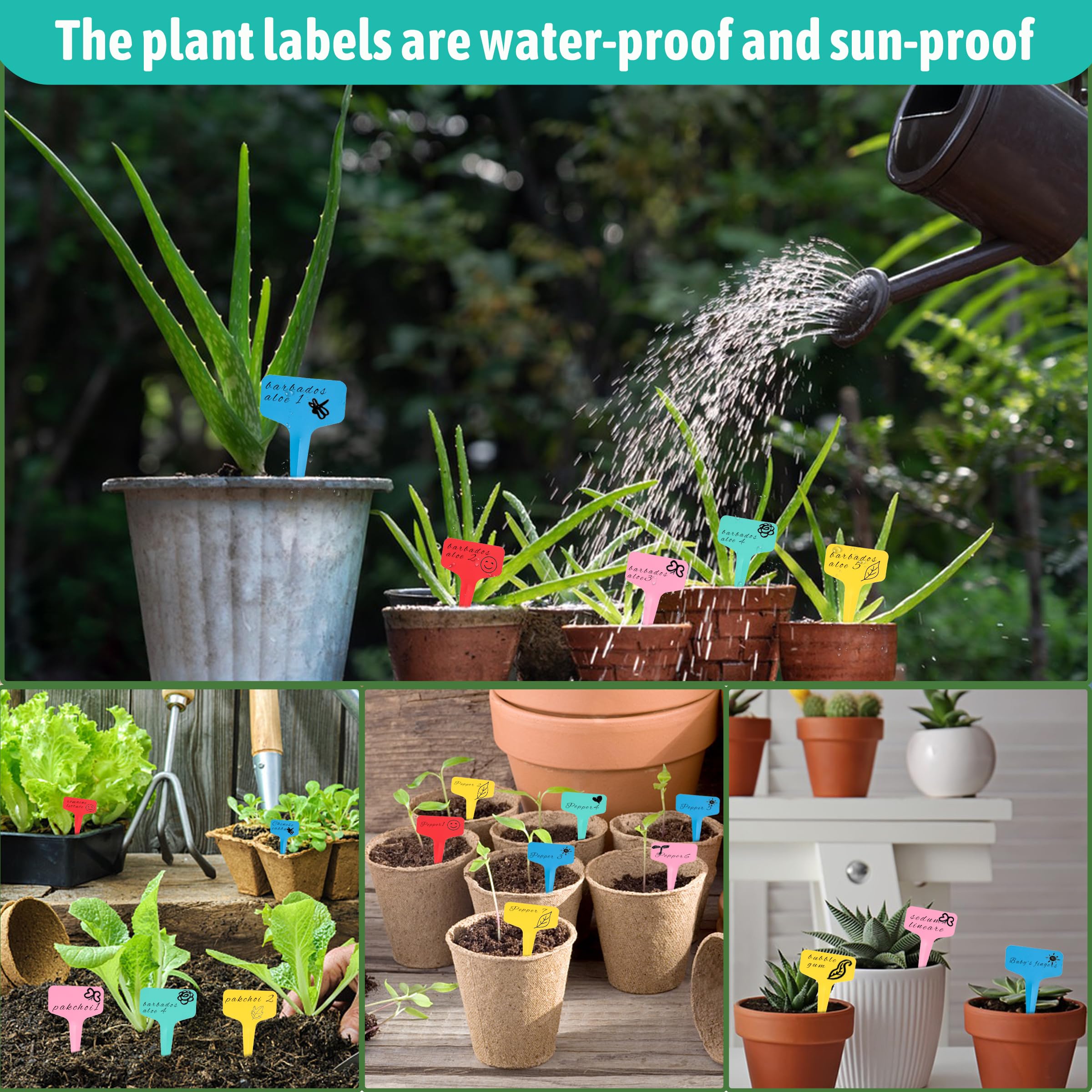 Xgunion garden labels suit vegetables, flowers, and potted plants for easy tracking.