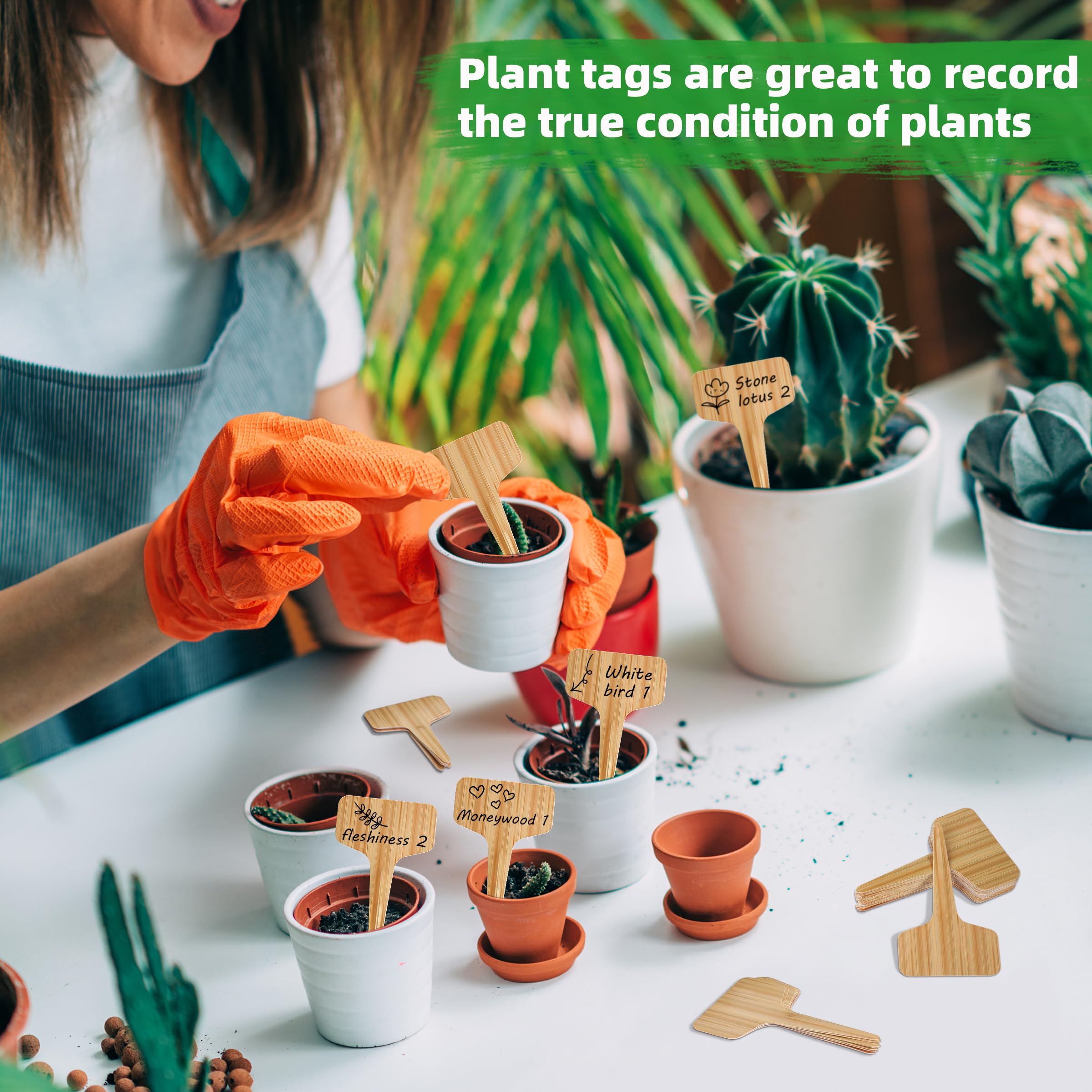 Xgunion garden labels ideal for seeds and seedlings labeling.