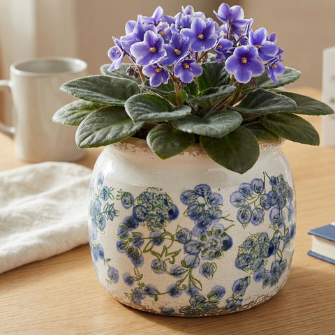 Xiaan Jiaju office desk planter offers elegant plant display.