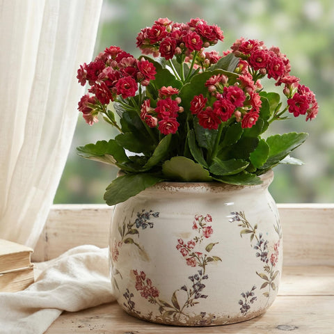 Xiaan Jiaju french-country lavender vase planter for herbs or blooms.