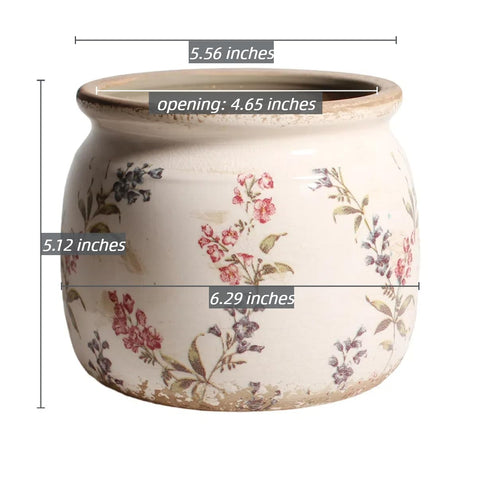 Xiaan Jiaju ideal gift for vintage lovers and plant enthusiasts.