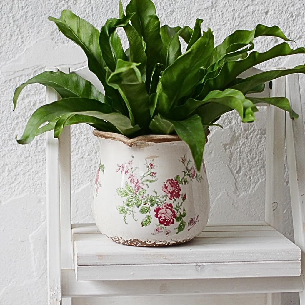 Xiaan Jiaju gift-ready vintage planter for plant lovers