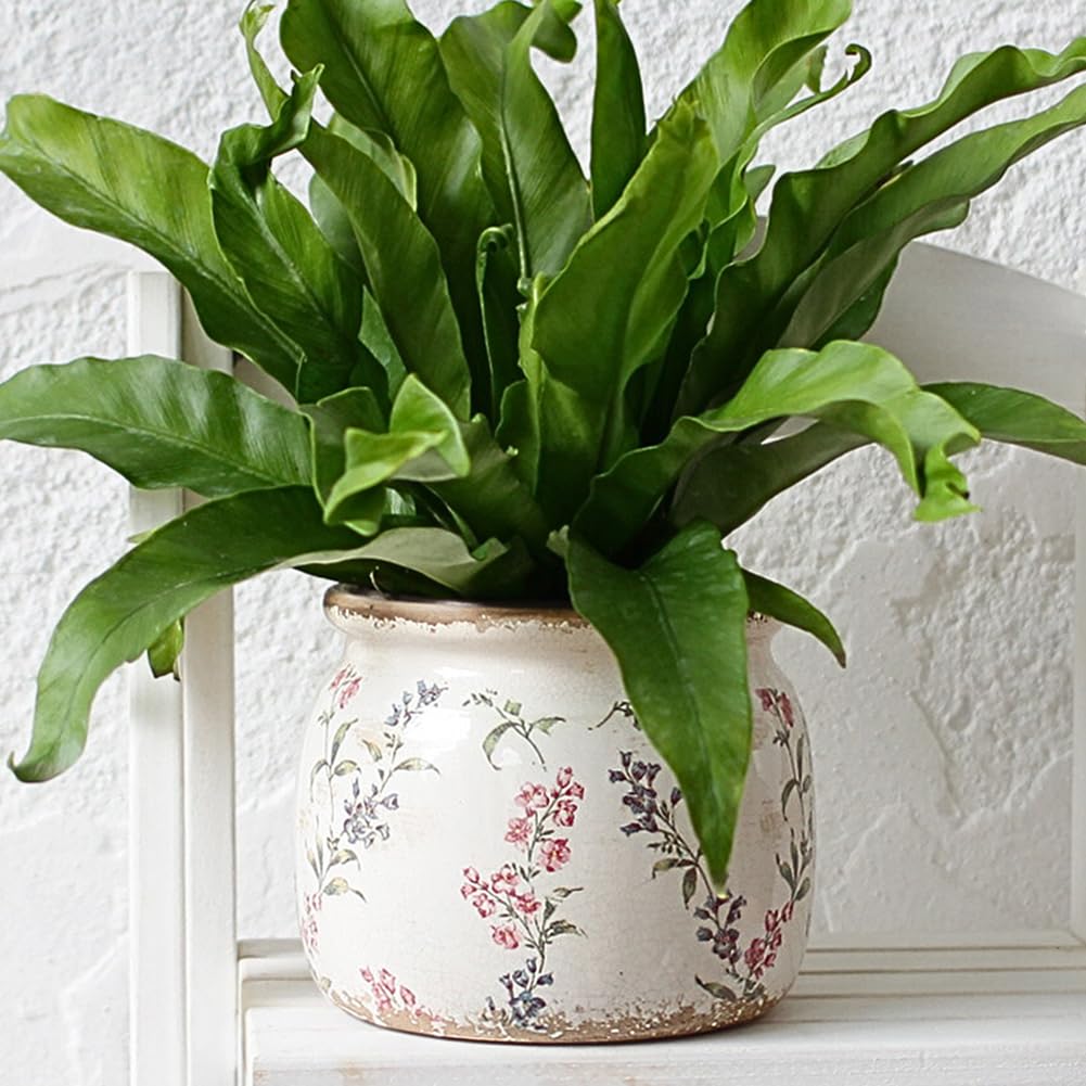 Xiaan Jiaju indoor plant pot doubles as stylish home decor for living rooms.