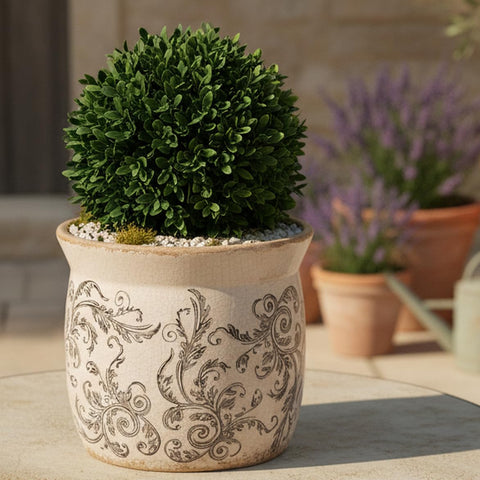 Xiaan Jiaju planter ideal for small plants and herbs on desks