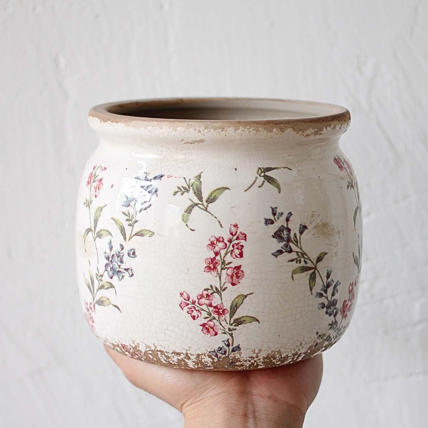 Xiaan Jiaju versatile pot for succulents, ferns, and other houseplants.