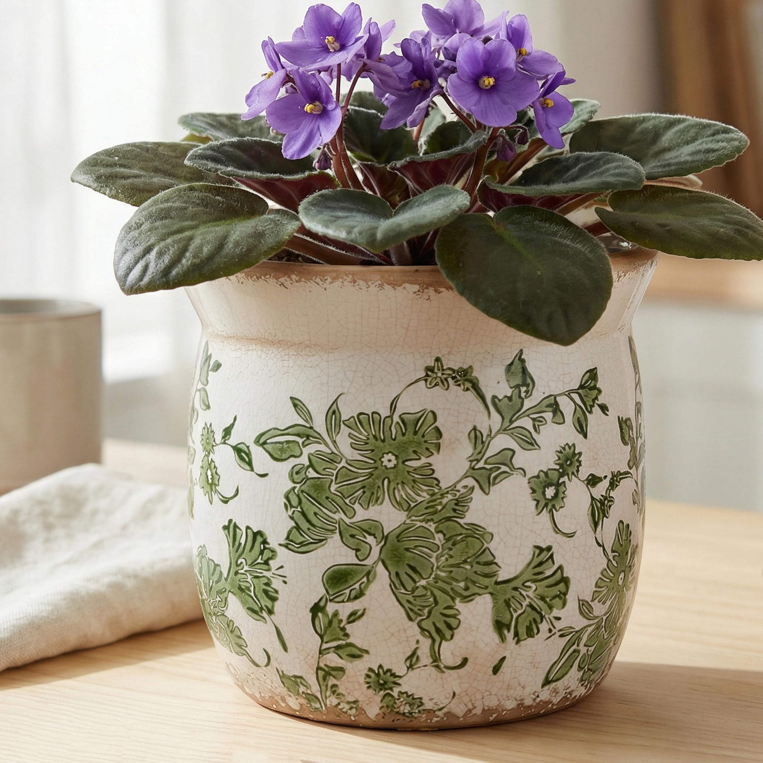Xiaan Jiaju pot wide opening ideal for succulents and herbs