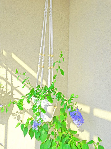 Xibelezal boho decor enhancement for living rooms and balconies