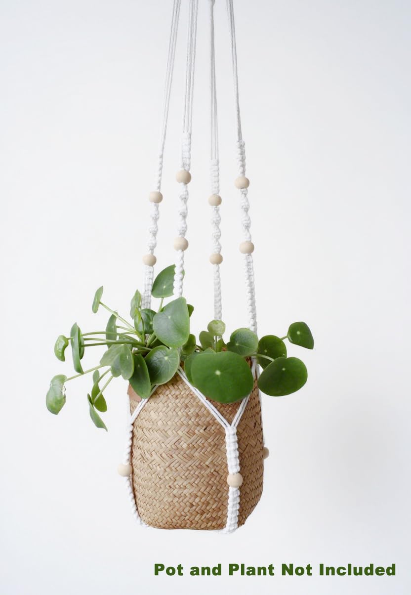 Xibelezal elevates greenery with easy-to-view display