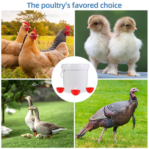 Xictuwey cups are easy to clean and maintain for busy coops.
