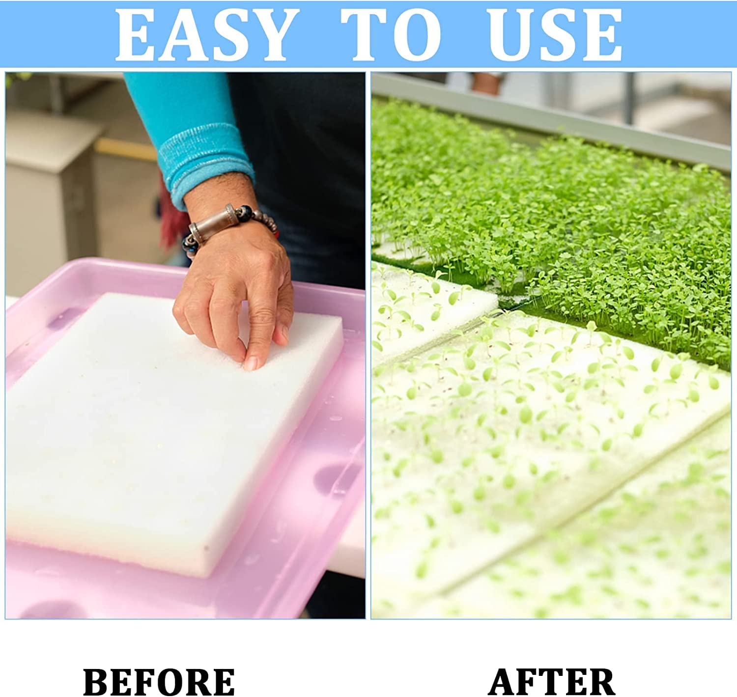 XIDAJIE sponge used in greenhouse seedling setups for vegetables.