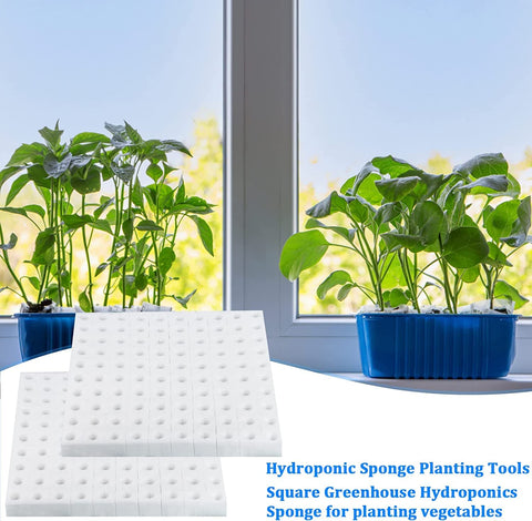 XIDAJIE six-sheet pack provides ample sponges for planting needs.