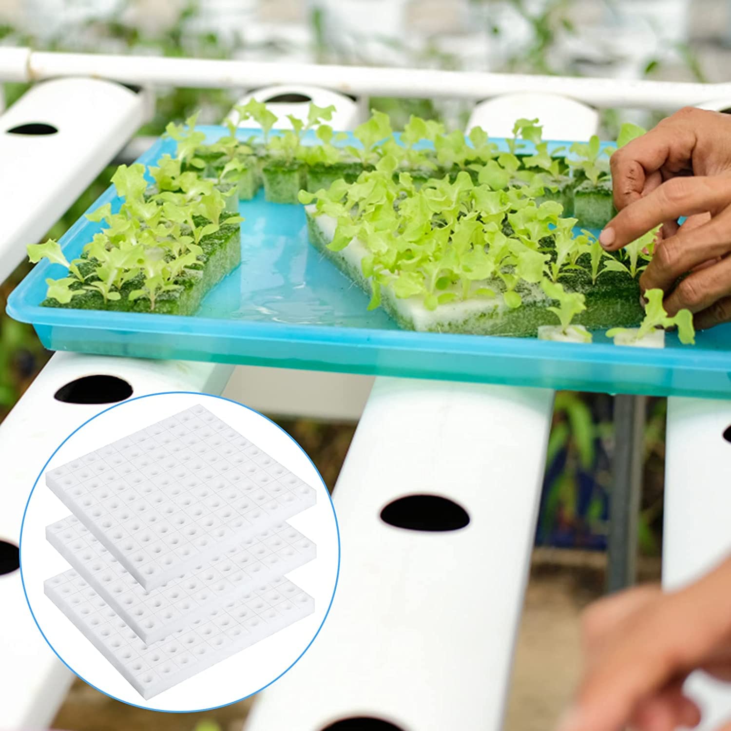 XIDAJIE sponge fits 1.8-inch net cup pots for transplant-ready setups.