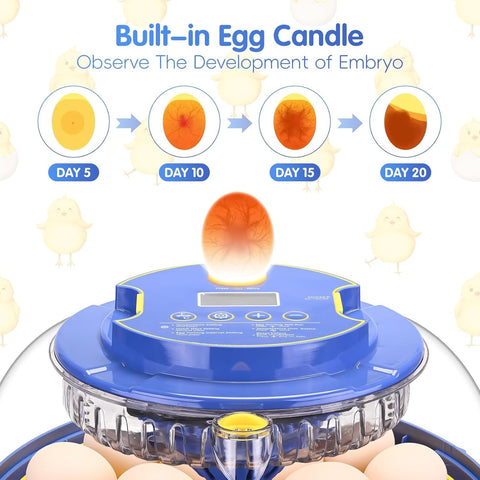 Xiejiutianxrg automatic water refill maintains stable humidity for better hatching