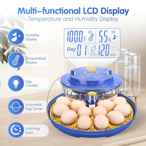 Xiejiutianxrg LED temperature display helps set precise incubation heat