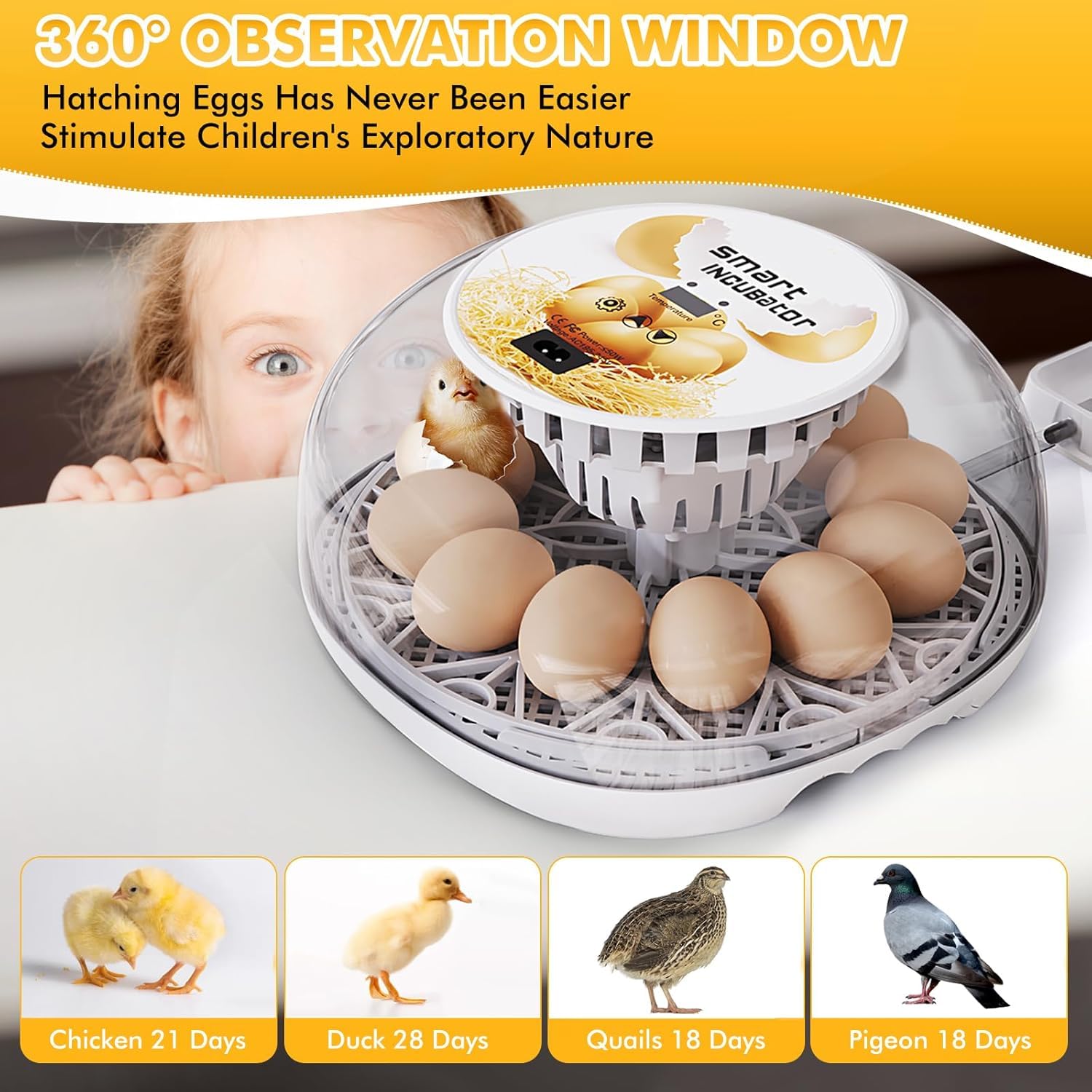 Xiejiutianxrg M12 360-degree view for quick hatch checks without opening