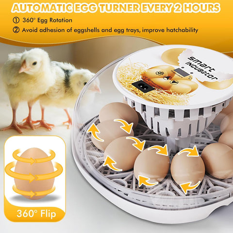 Xiejiutianxrg M12 automatic turning mechanism for even egg rotation