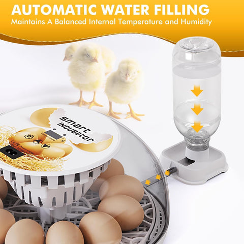 Xiejiutianxrg M12 automatic water refill maintains humidity