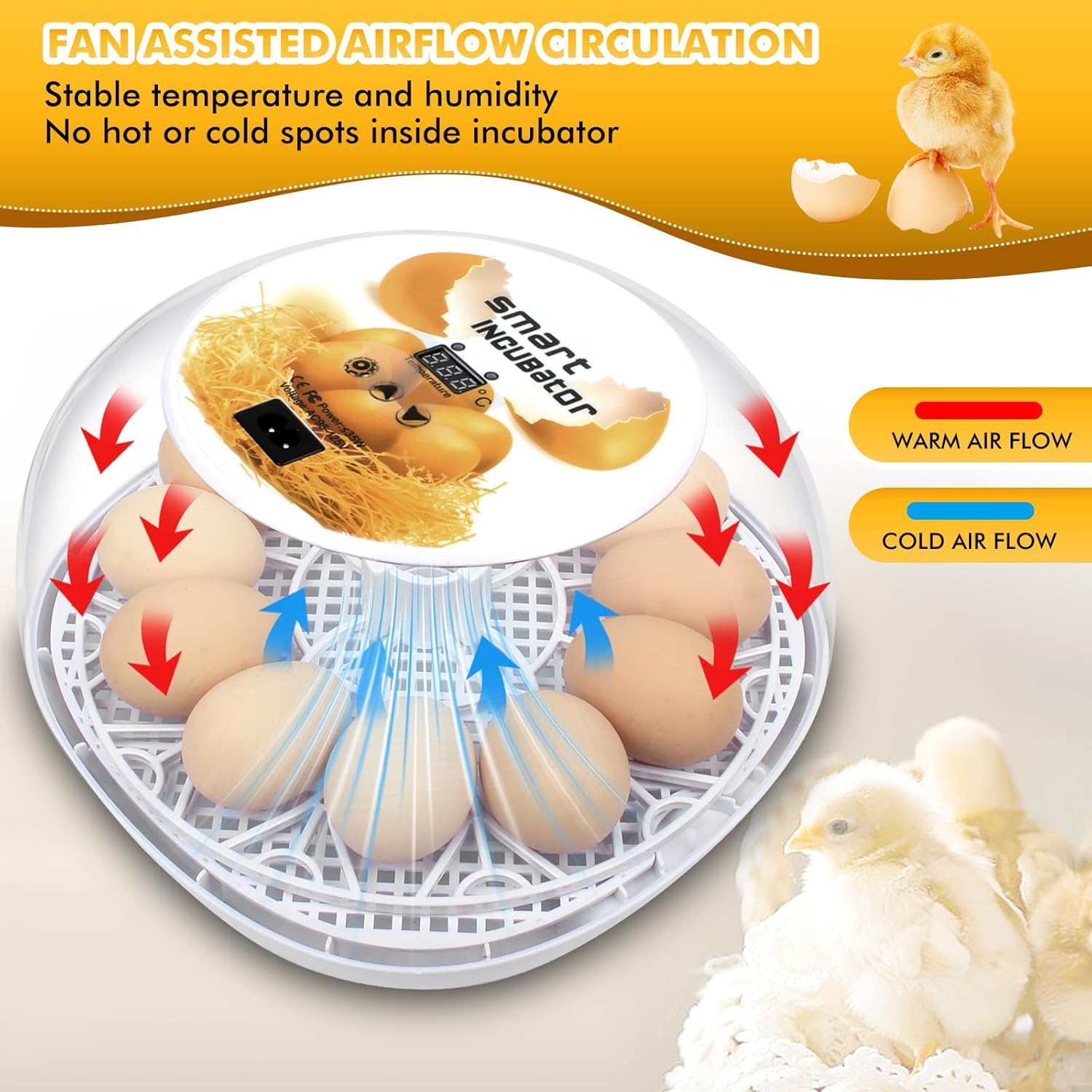 Xiejiutianxrg M12 LED display shows precise incubation temperature