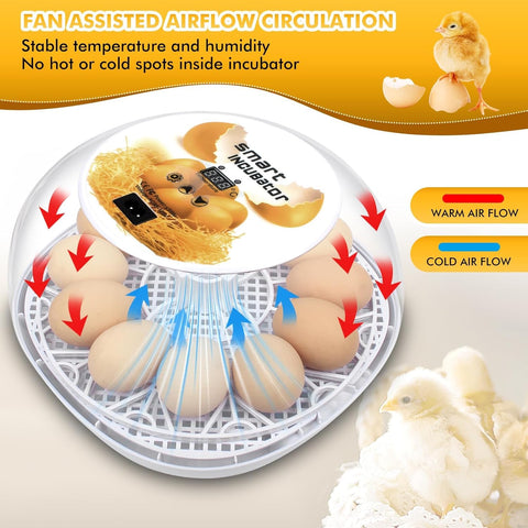 Xiejiutianxrg M12 LED display shows precise incubation temperature