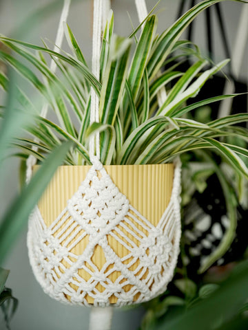 XINBOR easy setup using four-rope balance for secure hanging