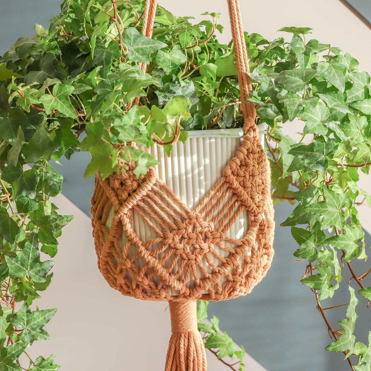 XINBOR hanging planter patterns 2-pack caramel for stylish indoor decor and vertical space saving
