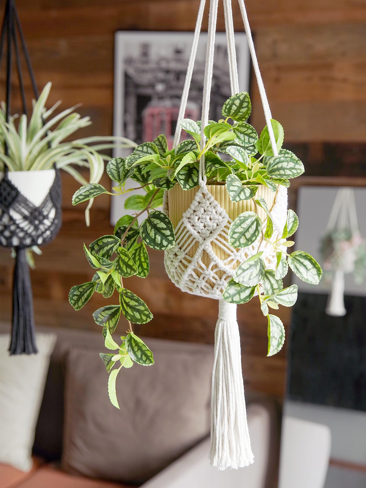 XINBOR pot-size compatibility with ceramic, glass, plastic planters