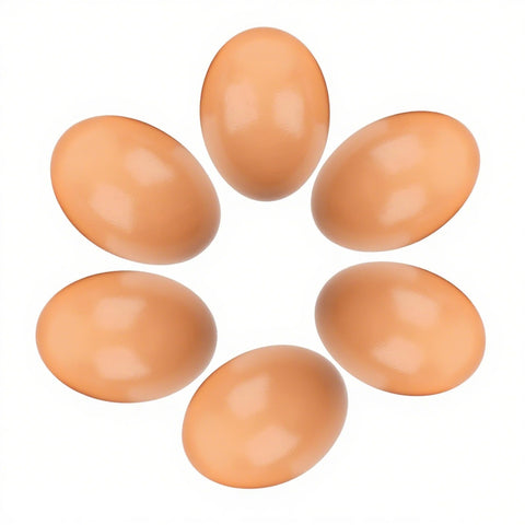 XINFEIBEI wooden eggs for nesting boxes guide hens to lay in the coop