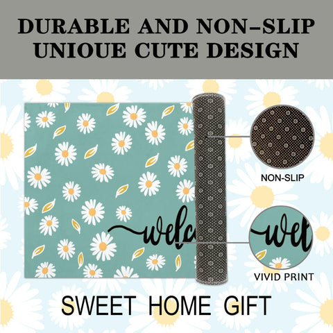 Xinglunla indoor outdoor mat shown on a porch for easy cleaning.