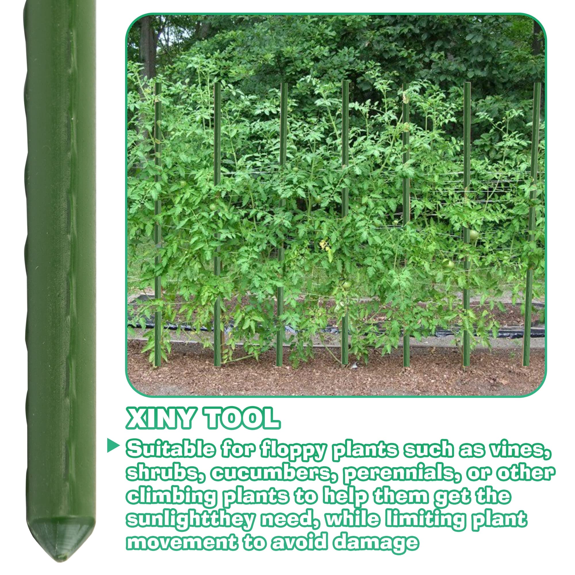 Xiny Tool bean and eggplant support keeps plants upright