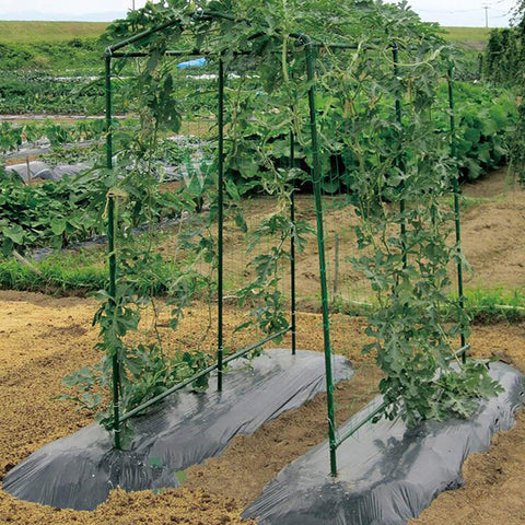 Xiny Tool bean stake for climbing plants in garden setup
