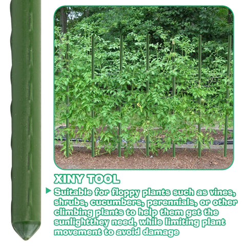 Xiny Tool eggplant stake supporting upright growth