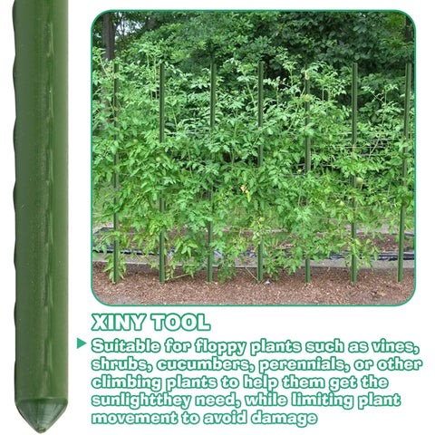 Xiny Tool pointed-end stakes enable easy ground insertion for trellises.