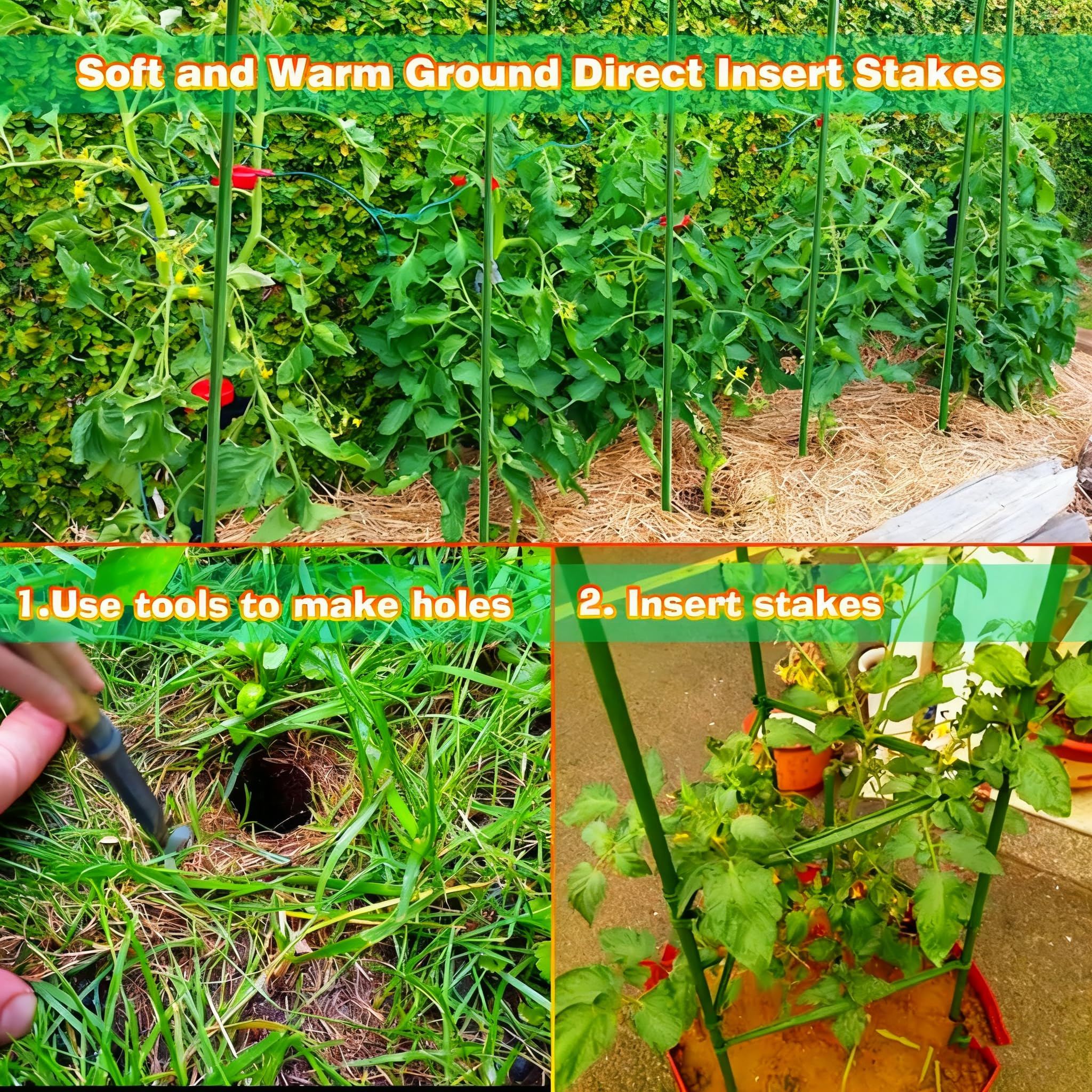 Xiny Tool ridged-grip stakes provide reliable climb support for beans and peppers.