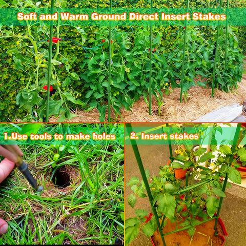 Xiny Tool ridged-grip stakes provide reliable climb support for beans and peppers.